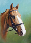 "Miss Walkers Gelding"